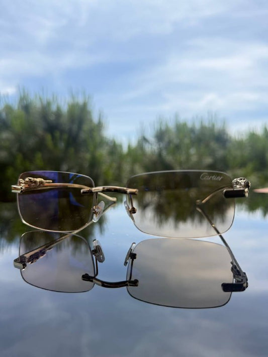 Occhiale da Sole – Modello C.P